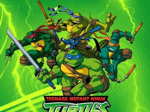 teenage mutant ninja turtles 2003 wiki